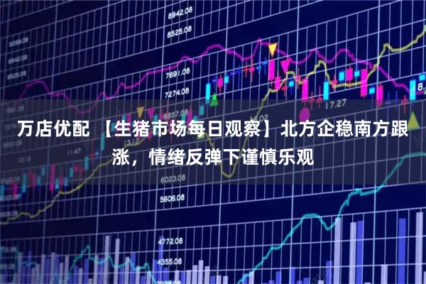 万店优配 【生猪市场每日观察】北方企稳南方跟涨，情绪反弹下谨慎乐观