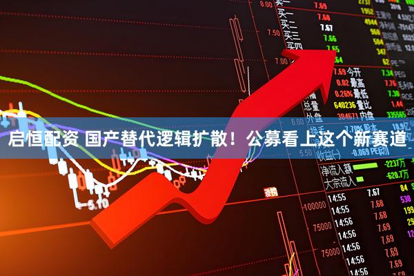 启恒配资 国产替代逻辑扩散！公募看上这个新赛道