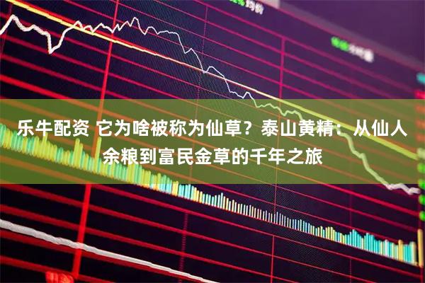 乐牛配资 它为啥被称为仙草？泰山黄精：从仙人余粮到富民金草的千年之旅