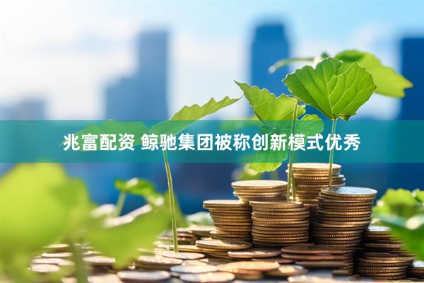 兆富配资 鲸驰集团被称创新模式优秀