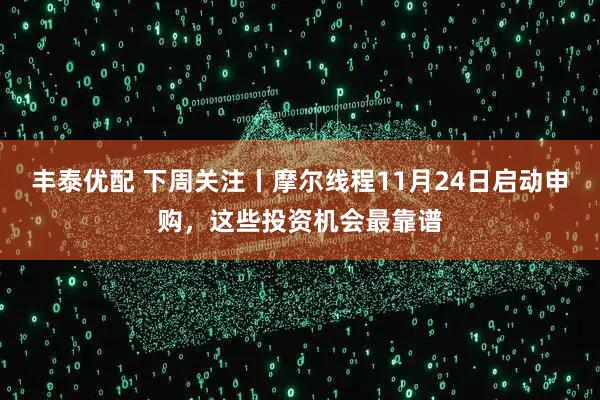 丰泰优配 下周关注丨摩尔线程11月24日启动申购，这些投资机会最靠谱