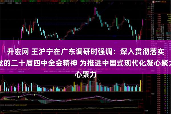 升宏网 王沪宁在广东调研时强调：深入贯彻落实党的二十届四中全会精神 为推进中国式现代化凝心聚力